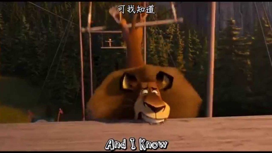 Мадагаскар 3 Алекс и Джиа любовь