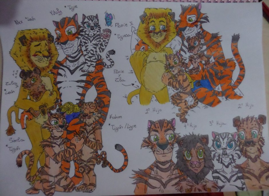 Мадагаскар Виталий и Джиа