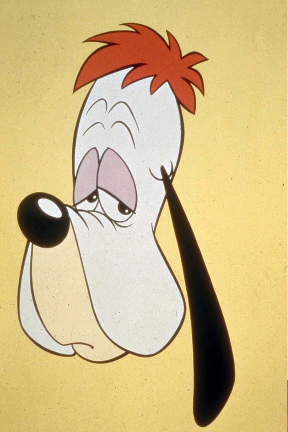 Снупи и Друпи