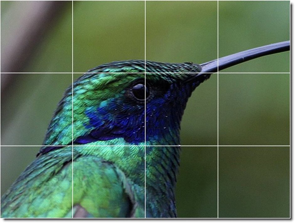 Колибри trochilidae