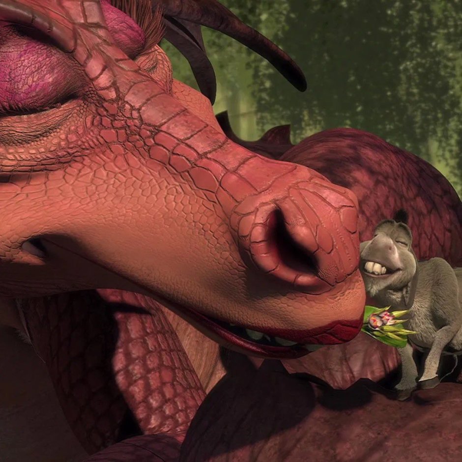 Осёл и дракониха любовь