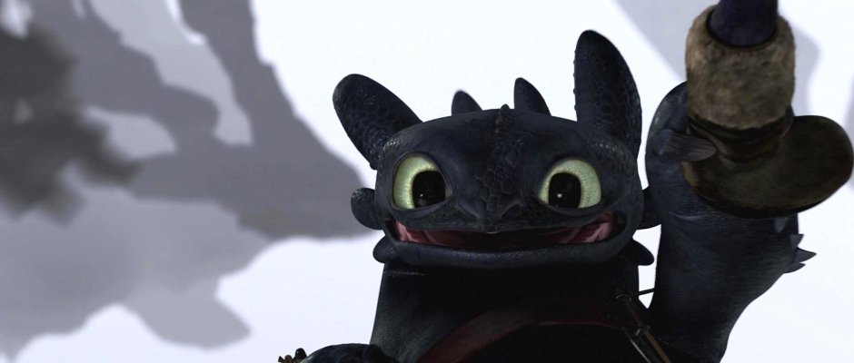 How to Train your Dragon Toothless