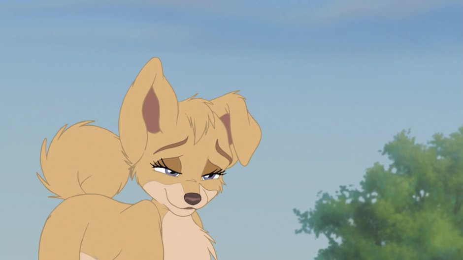 Леди и бродяга ангел