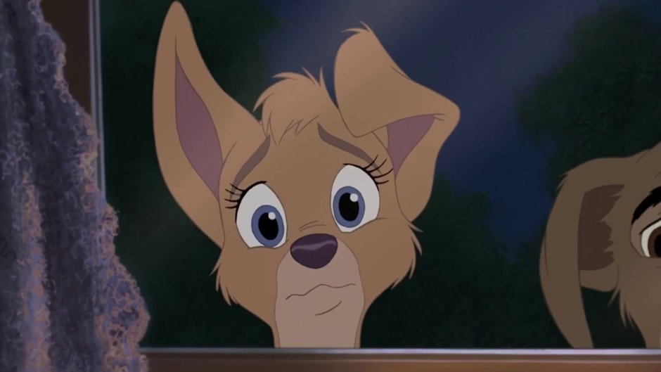 Леди и Бродяга Энджел