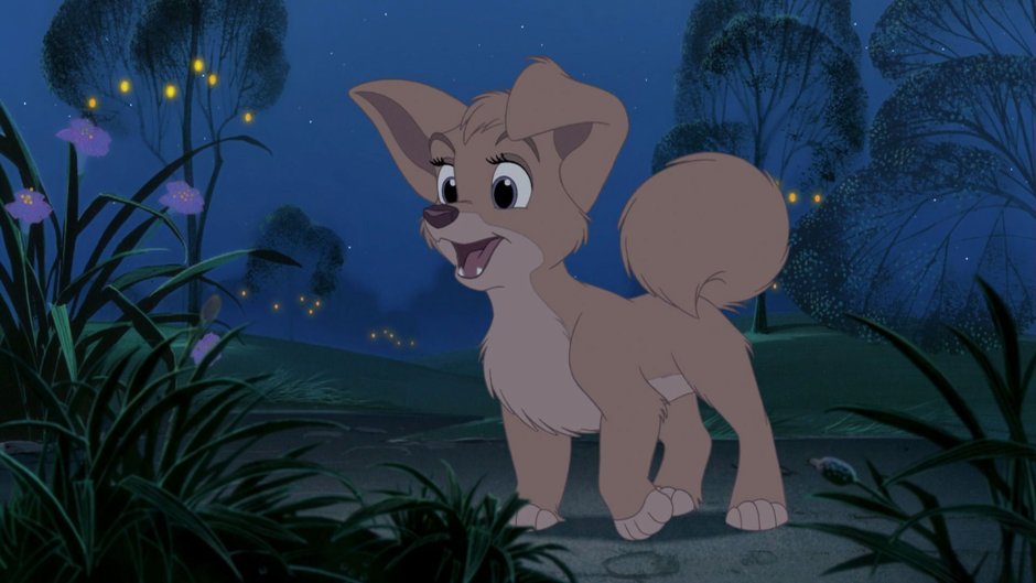 Рута мультик