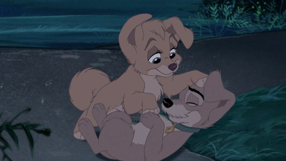 Леди и Бродяга 2 шалун и Энджел