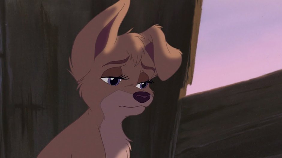 Энджел из леди и Бродяга