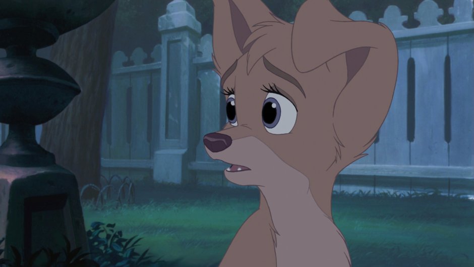 Энжыл из лди ибрадага 2