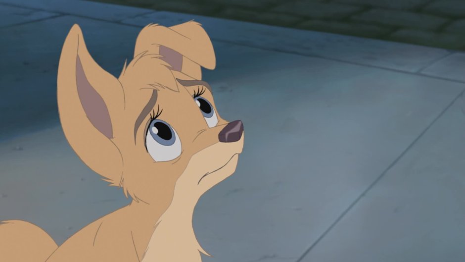 Леди и Бродяга Энджел