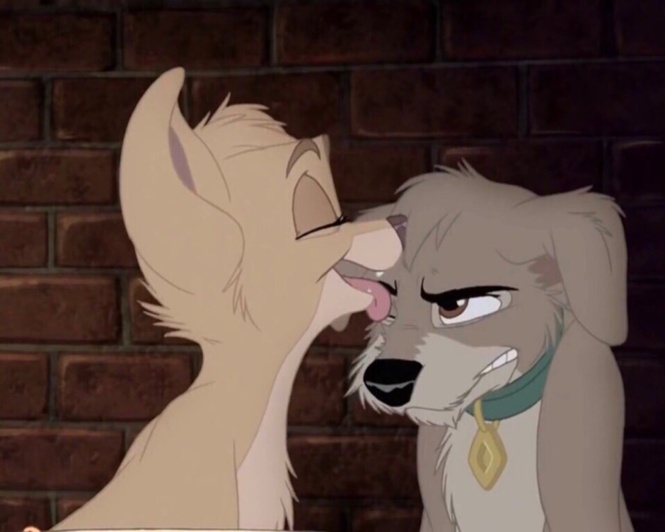 Любовь собак мультфильм грустный