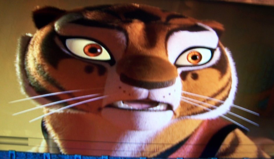 Лео и Тиг мастер тигрица