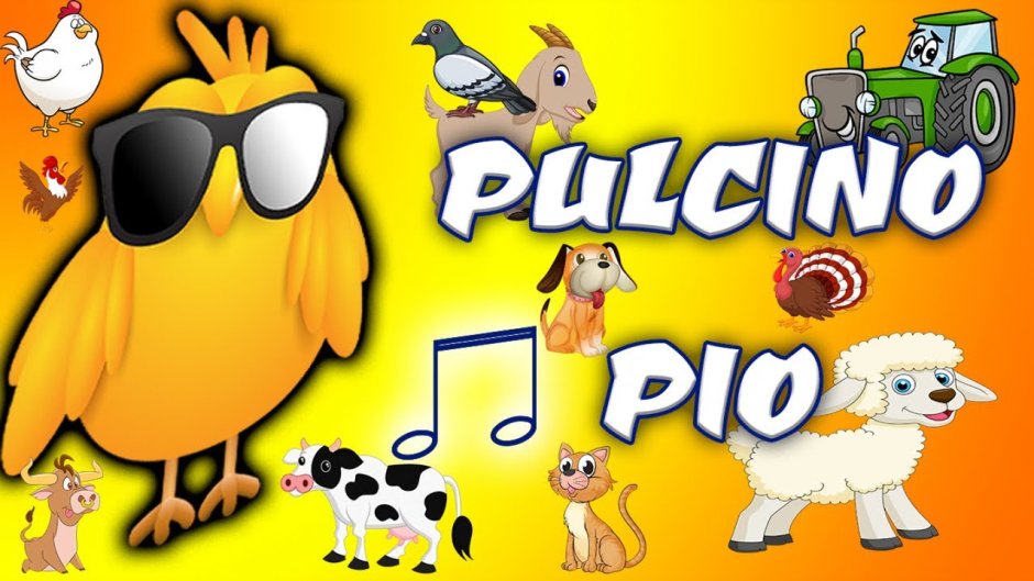 Pulcino Pio петух