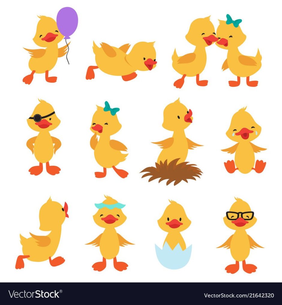 Цыпленок утка вектор