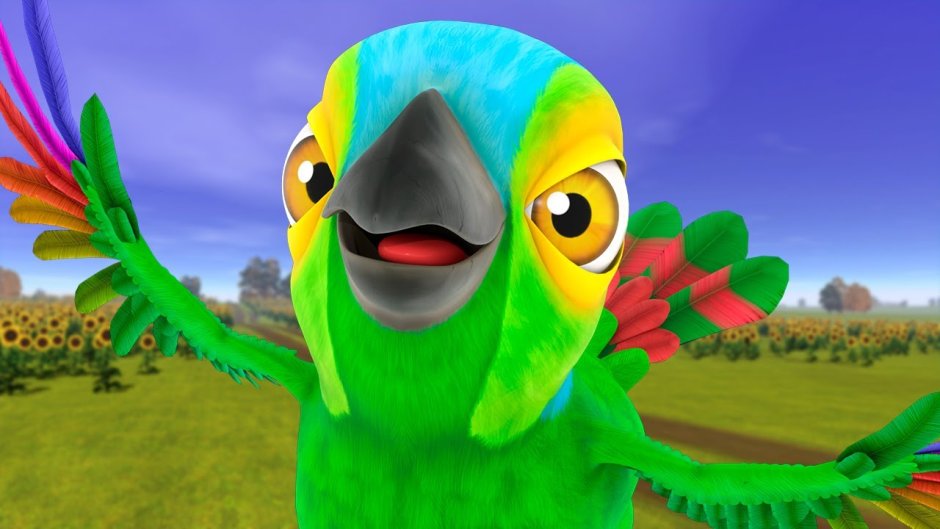 Цыпленок пи