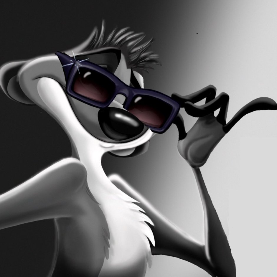 Тимон с чёрными очками