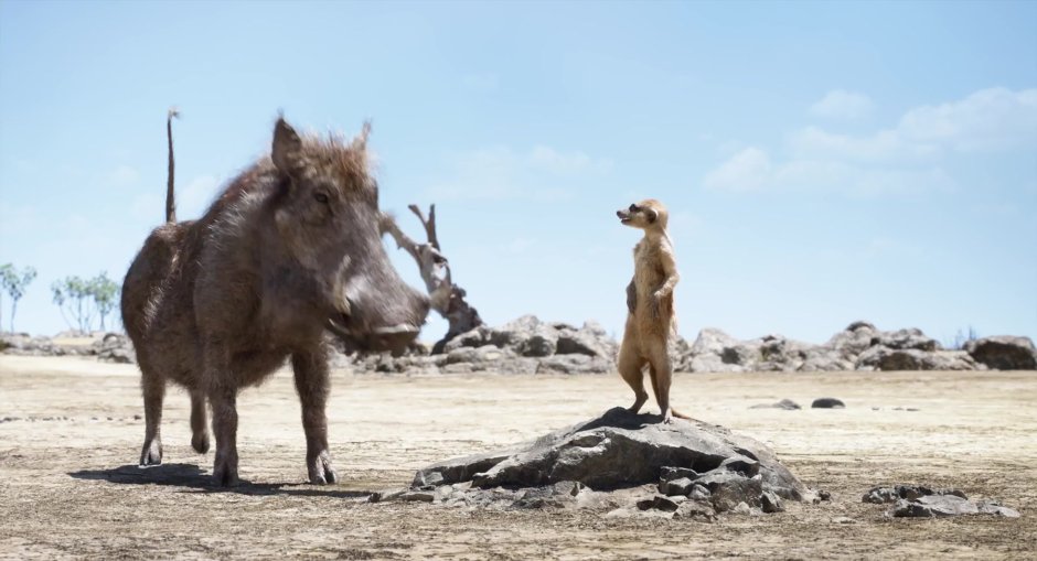 Тимон и Пумба 2019