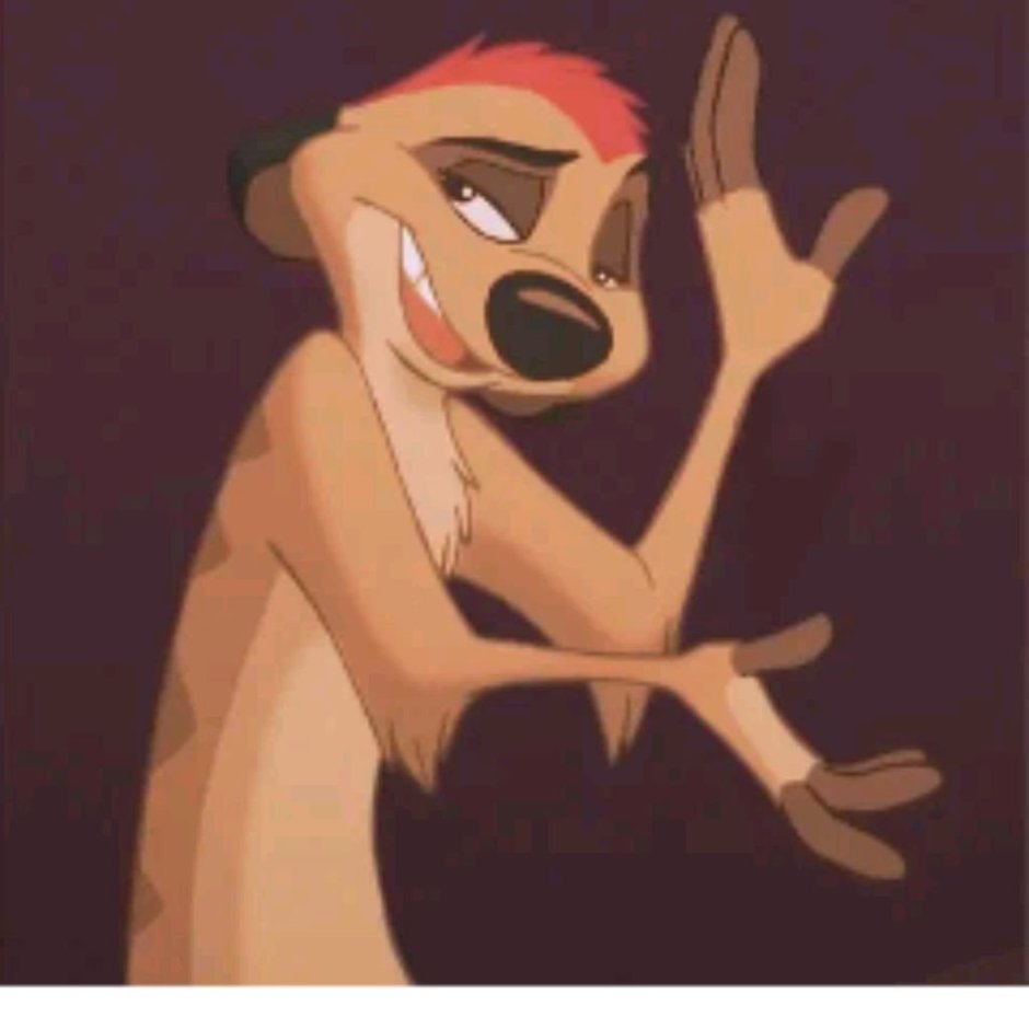 Тимон Король Лев на аву