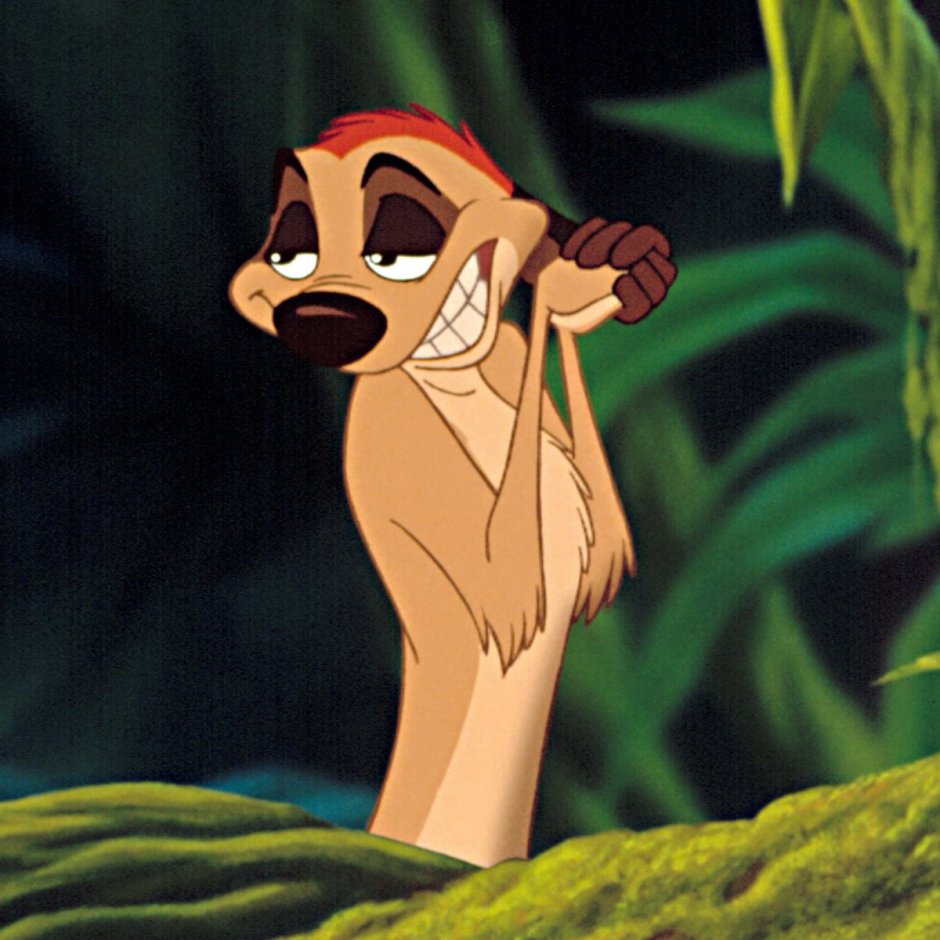 Тимон из короля Льва