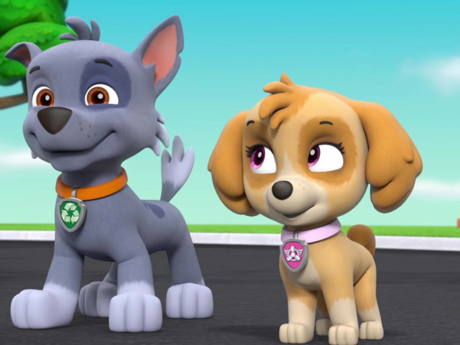 Щенячий патруль Рокки и Скай