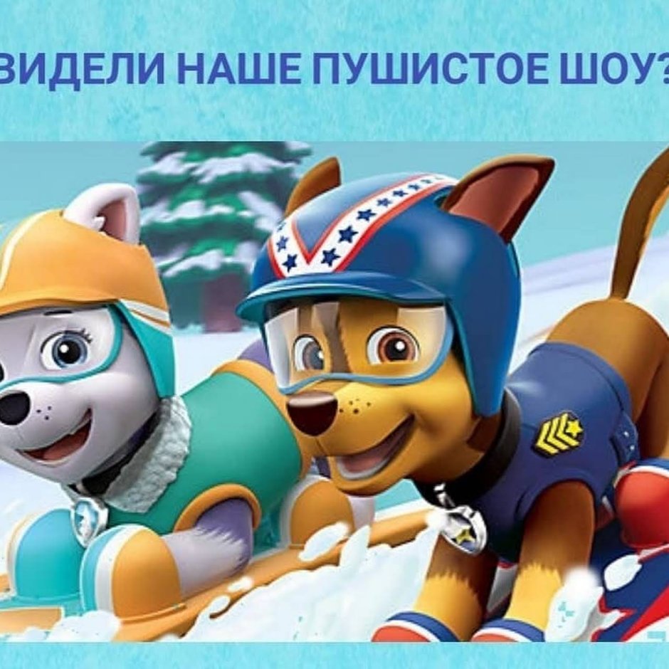 Скай Эверест гонщик Щенячий патруль