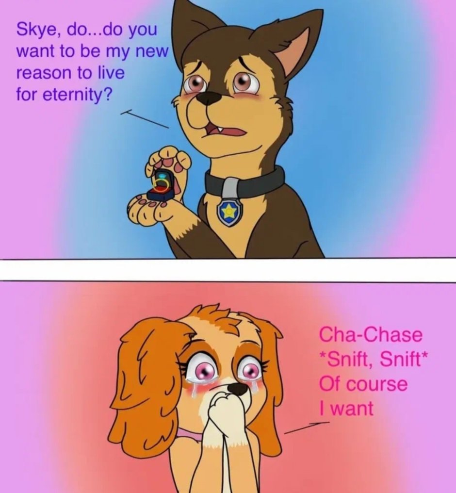 Щенячий патруль гонщик и Скай любовь комиксы