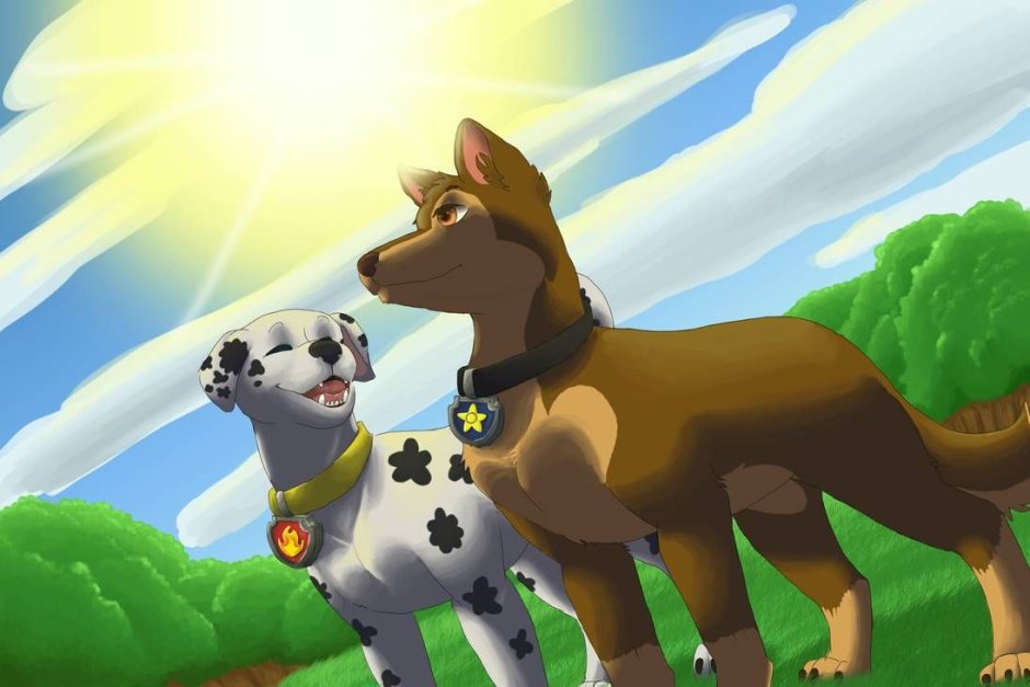 Скай и гонщик и Маршал и Эверест