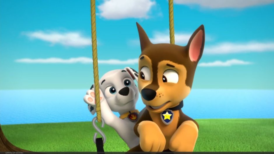 Щенячий патруль гонщик и Маршал