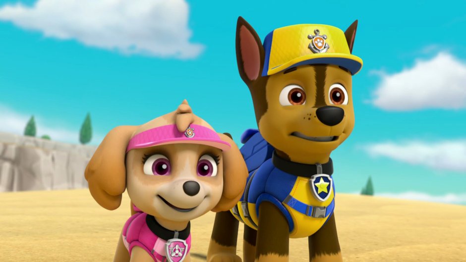 Paw Patrol гонщик и Скай