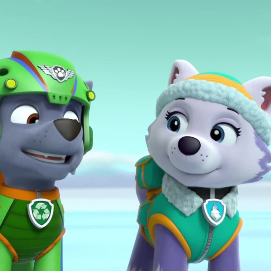 Щенячий патруль Рокки и Эверест