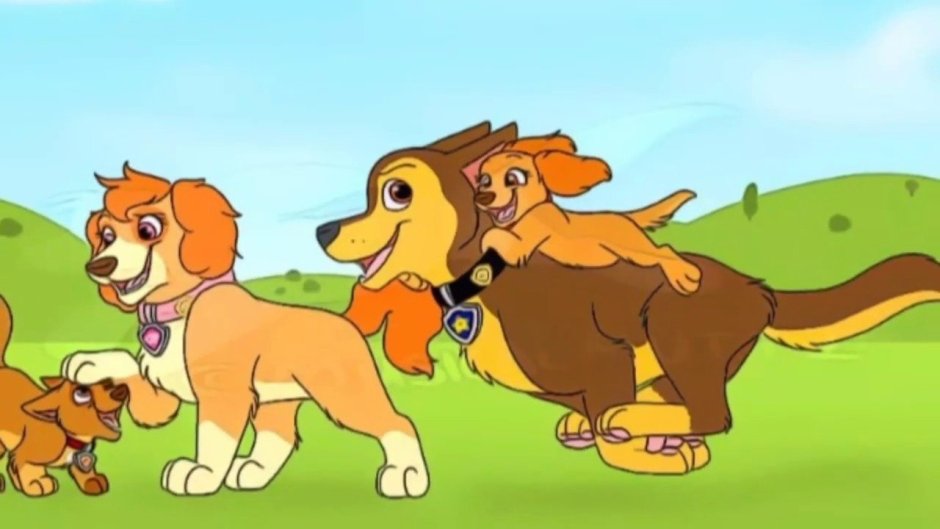 Щенячий патруль гонщик и Скай