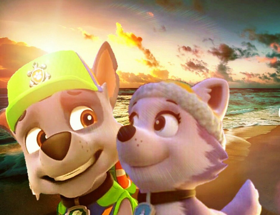 Щенячий патруль Рокки и Эверест любовь