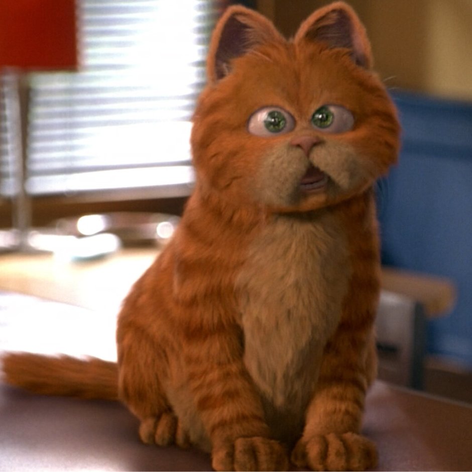 Порода кота Гарфилда