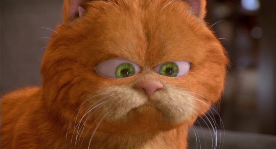 Порода кота Гарфилда из фильма