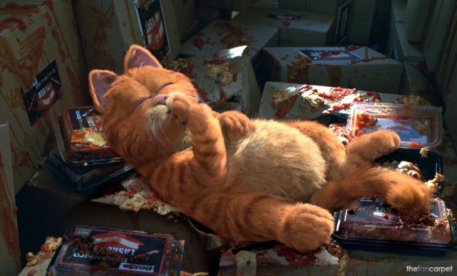 Гарфилд фильм 2004