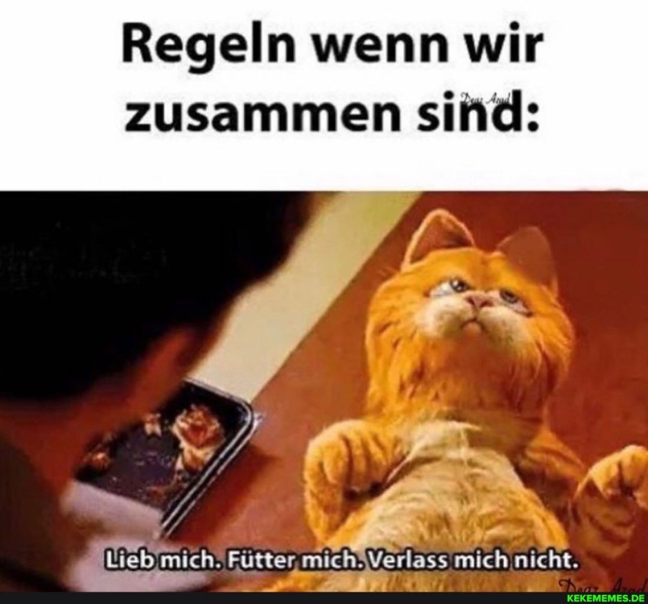 Люби корми и никогда не бросай Гарфилд