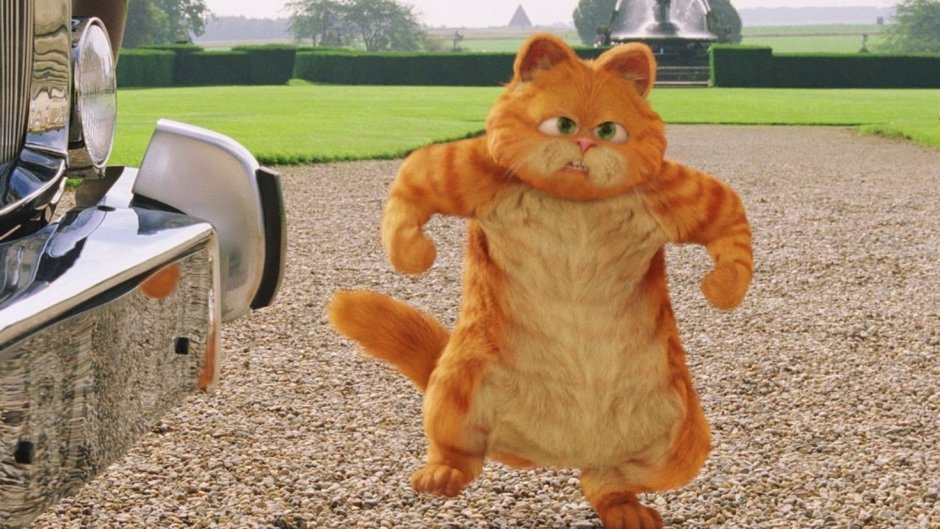 Гарфилд в реальной жизни