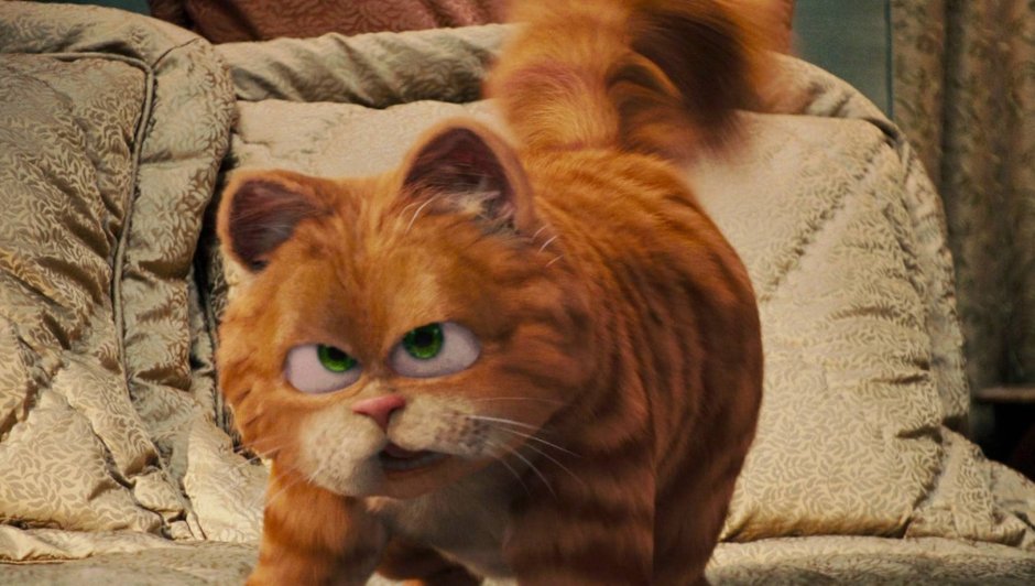 Кот Гарфилд порода кота