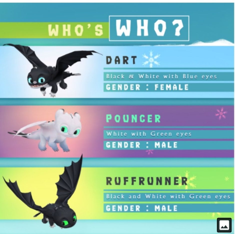 Ночные сияния драконы имена и пол