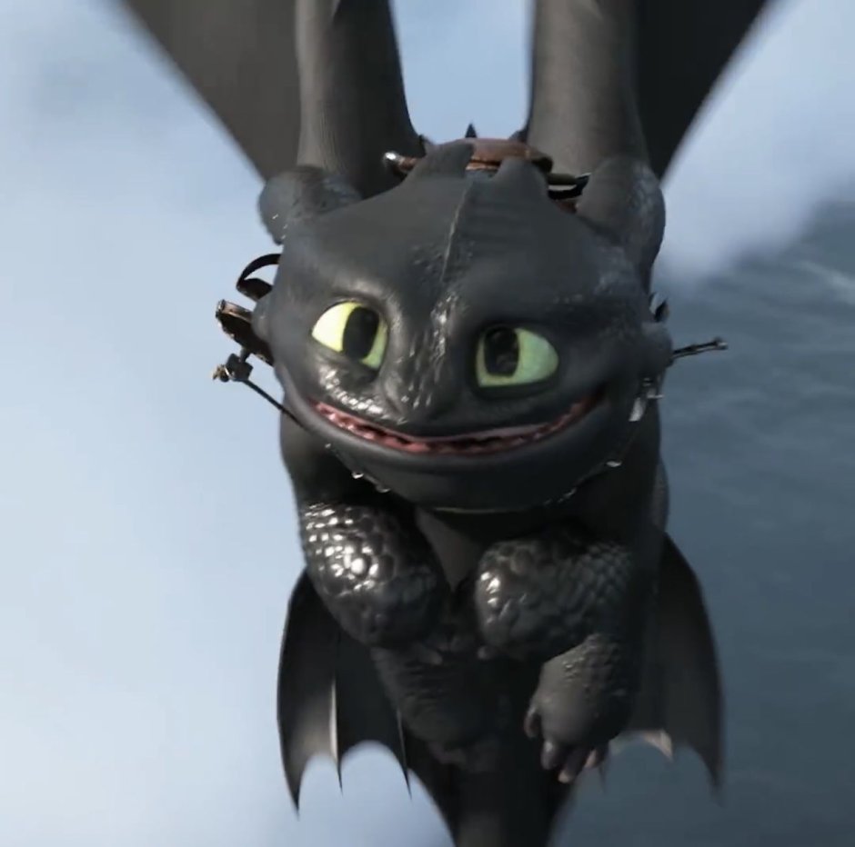 Беззубик Возвращение домой