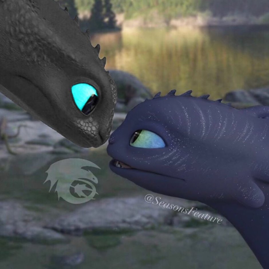 Шира дракон фурия