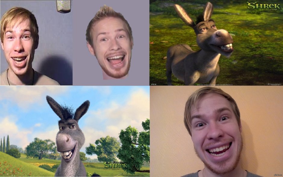 Шрек осёл хуманизация