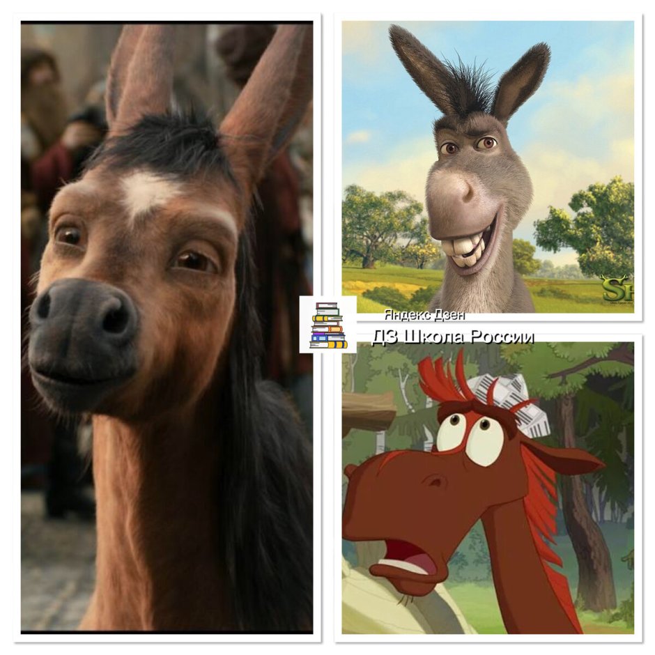 Конь Юлий и осел