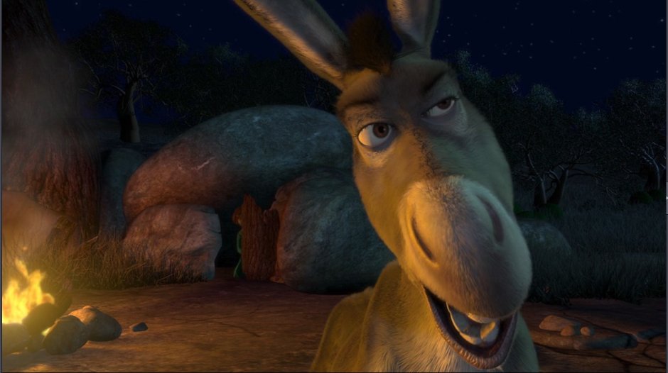 Крылатый осёл