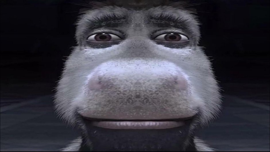 Donkey from Shrek staring meme