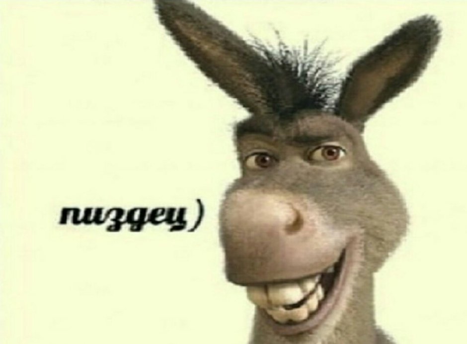 Голова осла