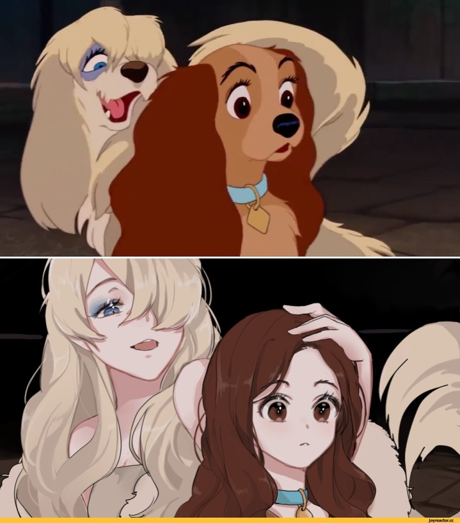 Леди и Бродяга humanization