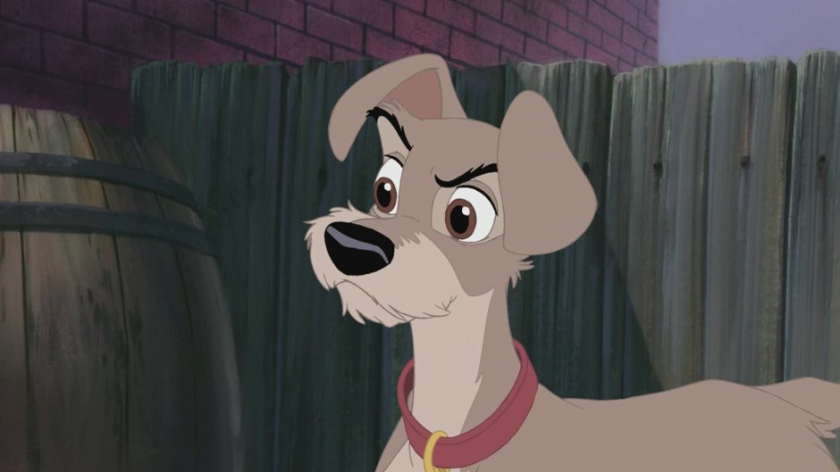 Бродяга мультфильма леди и Бродяга