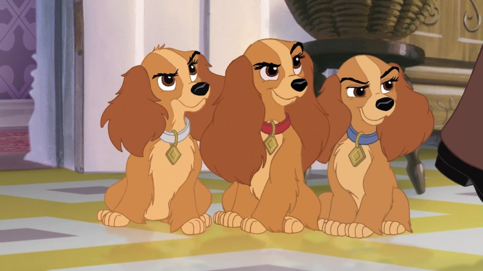 Леди и Бродяга Коллет