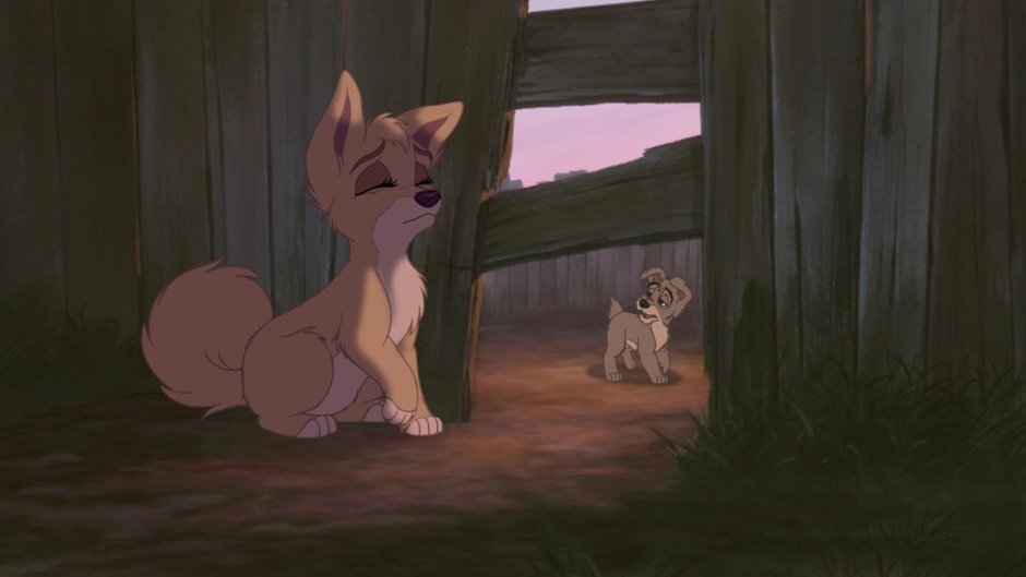 Леди и Бродяга 2 Энджел фурри