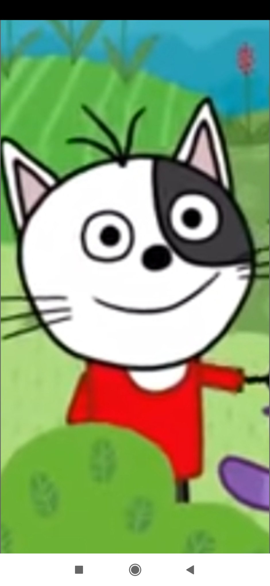 Кот из мультика